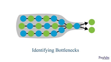 Bottleneck Effect Definition Example Video Lesson