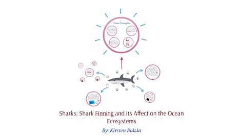 Sharks: Shark Finning and its Affect on the Ocean Ecosystems by Kirsten Polzin