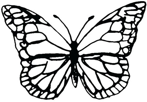 Monarch Butterfly Silhouette at GetDrawings | Free download