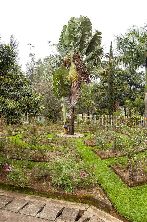 Kigali Genocide Memorial Garden Photograph by Paul Weaver