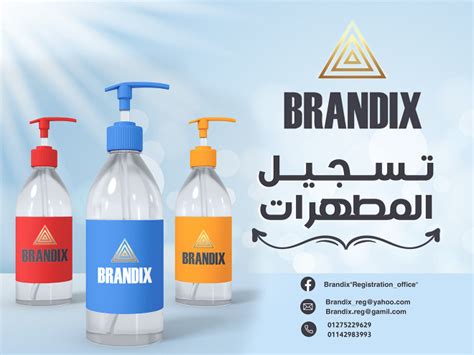 BRANDIX on Behance