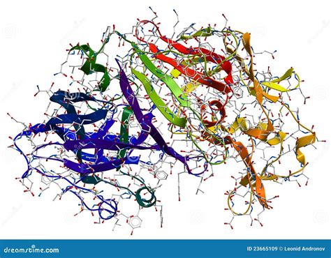 Enzyme pepsin 3D model stock illustration. Illustration of biochemistry - 23665109