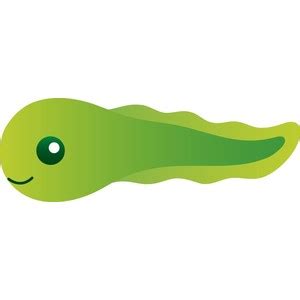 Tadpole Clipart - ClipArt Best