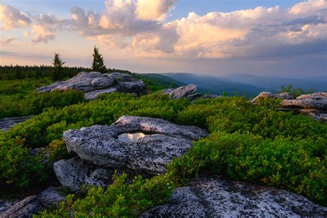 June Vista from Bear Rocks Preserve. | Dolly Sods Wilderness, West Virginia. | Joseph Rossbach ...