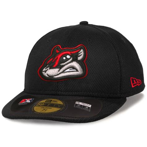 New Era Richmond Flying Squirrels Black Low Crown Diamond Era 59FIFTY ...