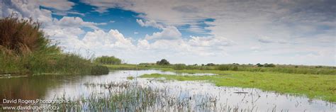 Zambia National Parks