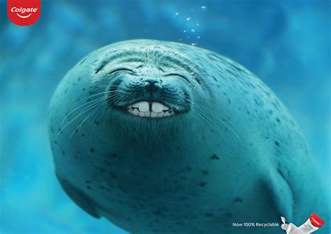 Smiling Fish (1) | Images :: Behance