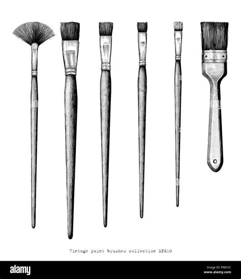 Vintage paint brushes set hand drawing clip art isolated on white background Stock Vector Image ...