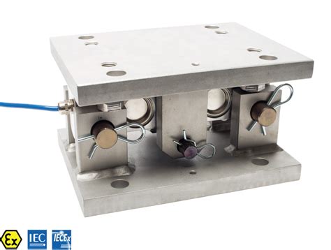 Load cell assembly for tank and vessel weighing – Rinstrum