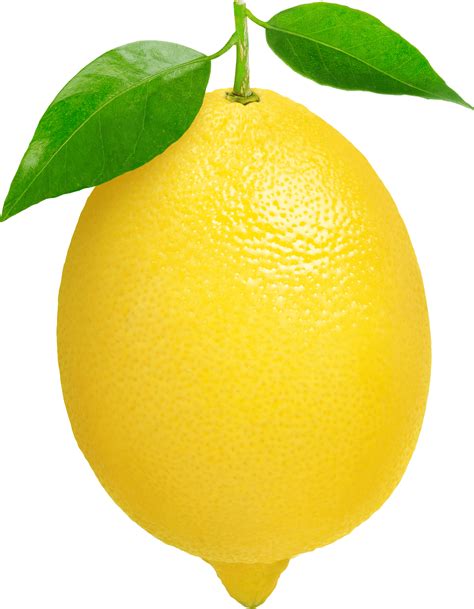 Lemon clipart file, Lemon file Transparent FREE for download on WebStockReview 2024