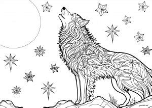 Arctic Wolf Coloring Pages