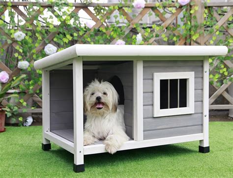 The 10 Best Outdoor Dog Houses - BestForPets.org