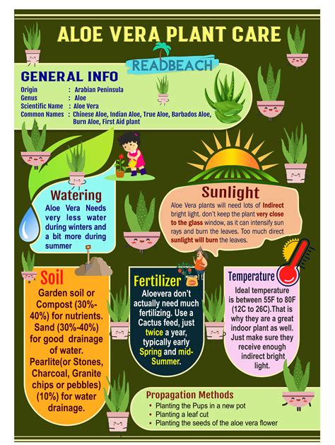 Aloe Vera Plant Care Infographic | Aloe vera plant, Aloe plant, Aloe ...