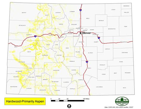 Hardwood | Primarily Aspen | Colorado State Forest Service | Colorado State University