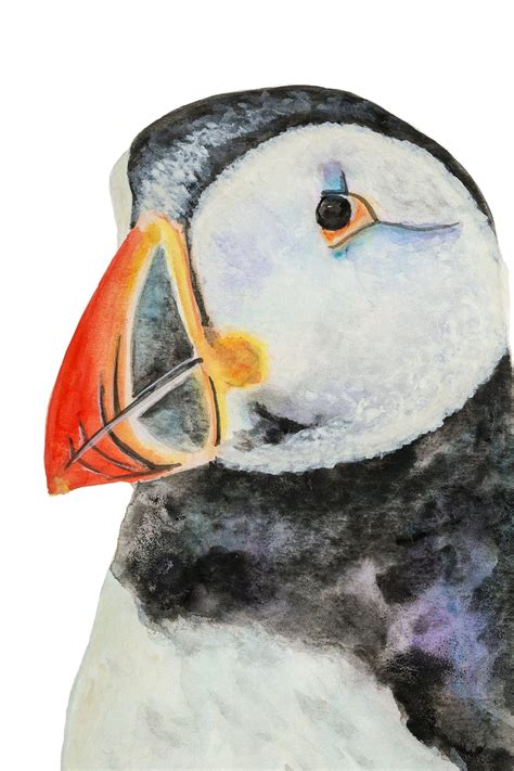 Puffin Watercolor Painting Original Watercolor Puffin | Etsy