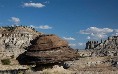 New Mexico Nomad Nature | Lybrook Fossil Area