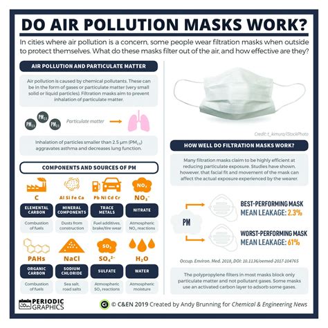 Do Air Pollution Masks Work? | CBC Undergraduate Program