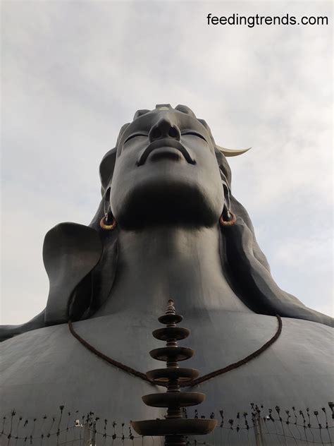 a large buddha statue with its eyes closed