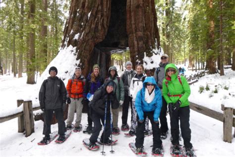 Snowshoeing around Yosemite