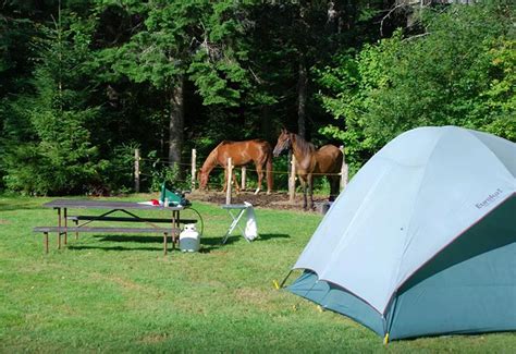 Tent Camping Vermont 16++ | IDN Camping