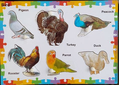 Bird Puzzle - 6pcs - Pre School Mom & Kids