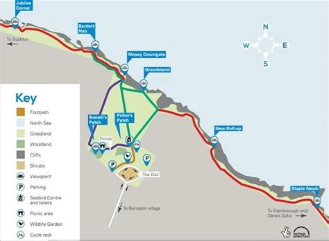 RSPB Bempton Cliffs