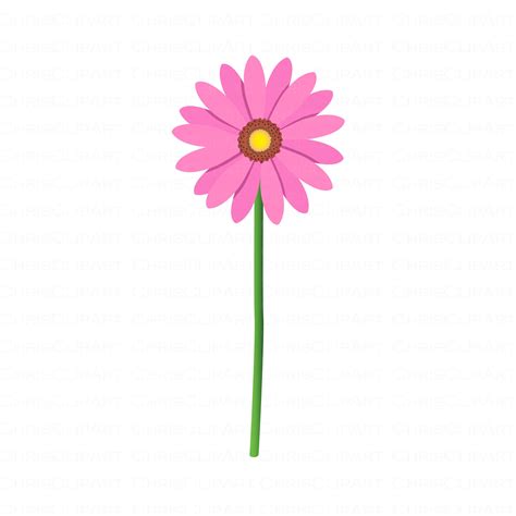 Pink daisy svg daisy clipart pink flower svg pink flowers | Etsy