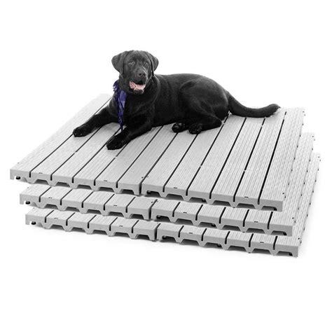 9 Best Dog Kennel Floorings: Keeping your Pets Safe - Size Them Up