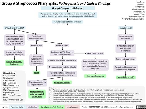 Pharyngitis (Group A Strep): Pathogenesis and Clinical Findings | Calgary Guide