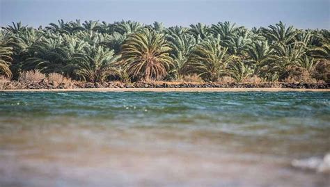 Bahariya Oasis | Egypt tours, Egypt map, Egypt