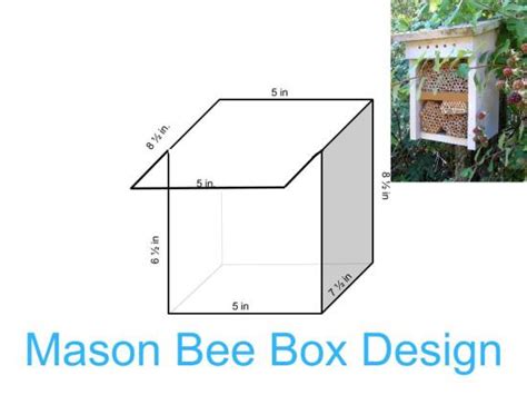 Do it Yourself: Mason Bee Home Construction – Mason Bees