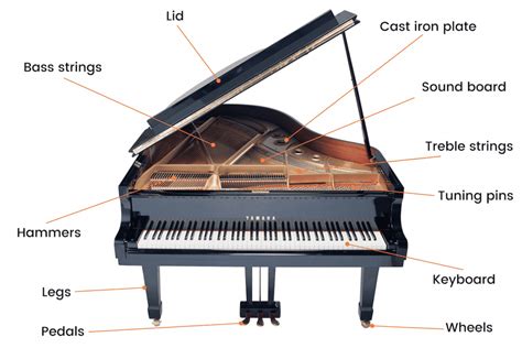 A Quick Guide To The Different Parts Of A Piano