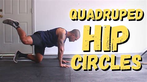 Movement Demo | Quadruped Hip Circles - YouTube