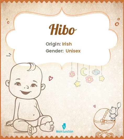 Hibo Name Meaning, Origin, History, And Popularity | MomJunction