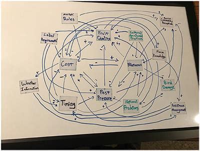 Frontiers | Farmer Mental Models of Biological Pest Control ...