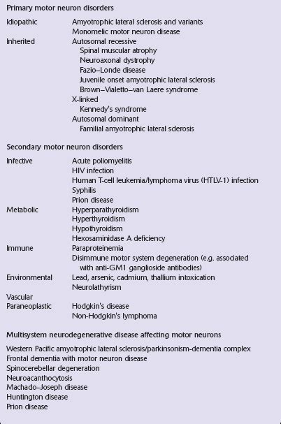 Upper Motor Neuron Disease Definition - Infoupdate.org