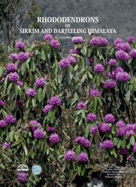 Rhododendrons of Sikkim and Darjeeling Himalaya: An Illustrated Account | NHBS Academic ...