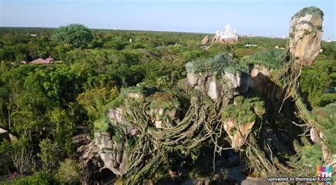 Avatar Land (Disney's Animal Kingdom) construction updates