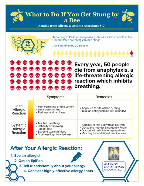 After An Allergic Reaction to a Bee Sting | Allergy & Asthma Associates