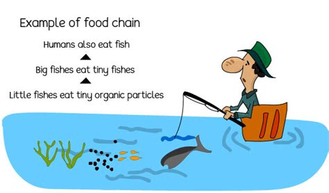 Effects of water pollution on living and non-living things.