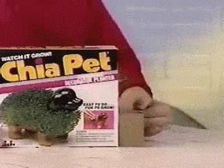 90S Tv Commercials GIFs - Find & Share on GIPHY