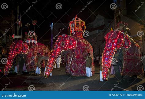 Ceremonial Elephants Parade through the Streets of Kandy during the Esala Perahera in Sri Lanka ...