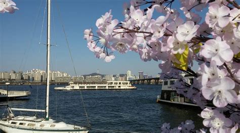 Eland Han River Cruise Seoul, South Korea - Klook