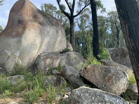 Bunyip State Park | Trail Navigator Victoria