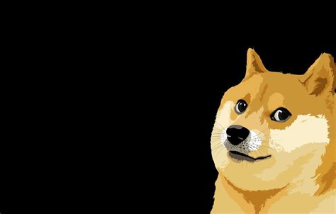 Doge Meme Wallpapers - Wallpaper Cave