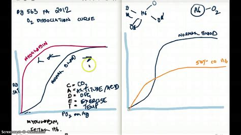 563 FA 12 :OXYGEN DISSOCIATION CURVE AND CARBOXYHEMOGLOBIN - YouTube