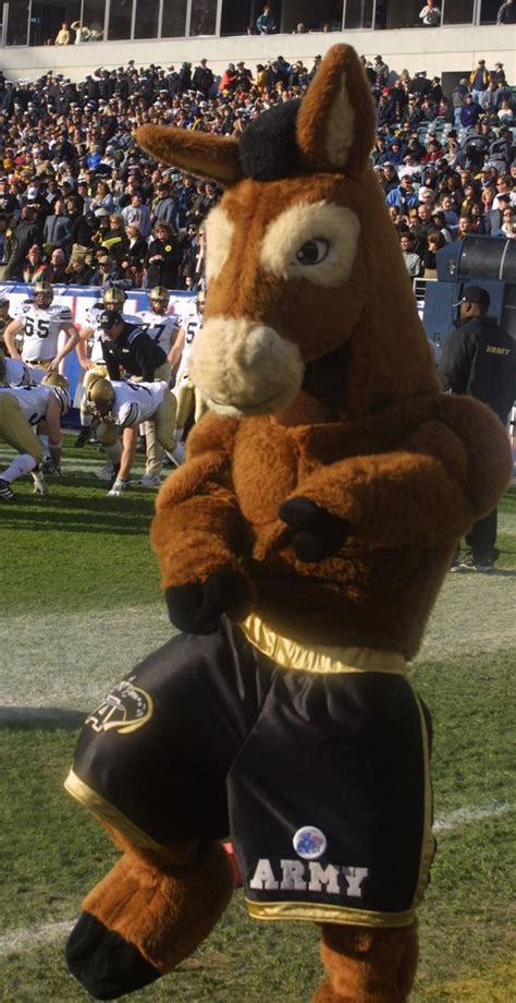 Army Navy Mascots | Mascots | Pinterest | Beats, Army & navy and Black ...