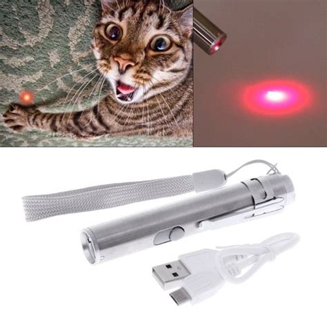 3 in 1 Cat LED Chase Toys Laser Pointer Pen USB Rechargeable Flashlight Pen Review | Cat laser ...