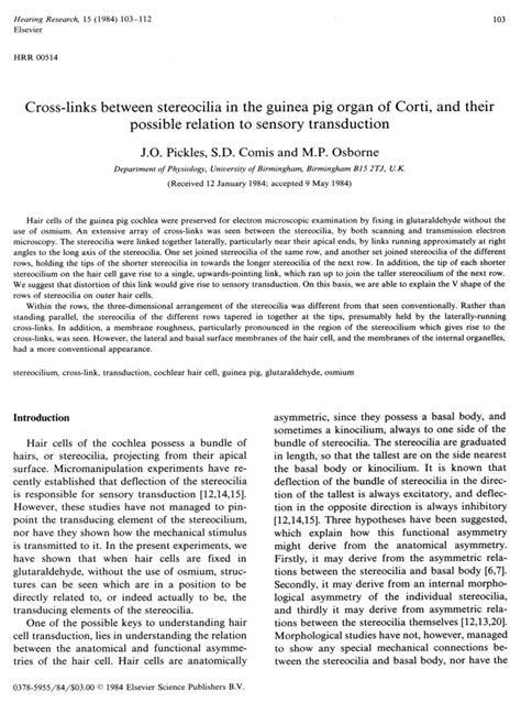 (PDF) Cross-links between stereocilia in the guinea pig organ of Corti ...