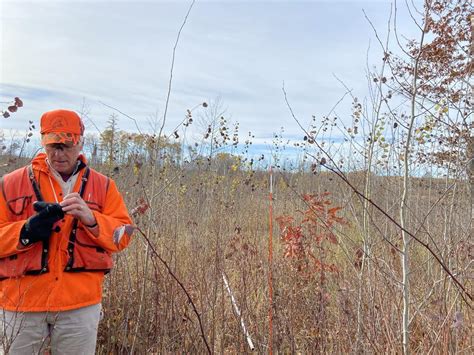 Development of an Operationally Feasible Buckthorn Control Method on a ...